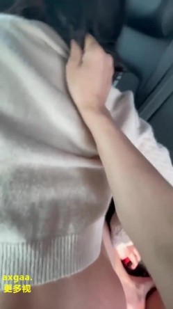 预览图14