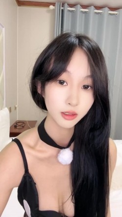 预览图6