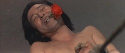 预览图13