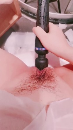 预览图5