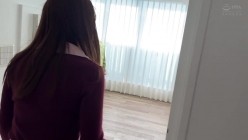 预览图12