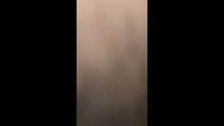 预览图4