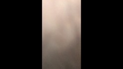预览图5