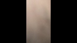 预览图6
