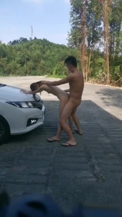 预览图1