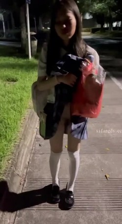 预览图4