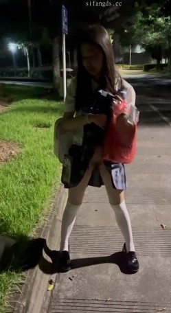 预览图8
