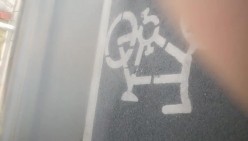 预览图5