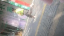 预览图12