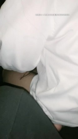 预览图4