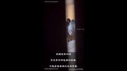 预览图8