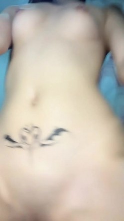 预览图14