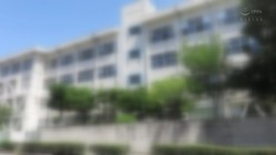 预览图6