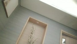 预览图16