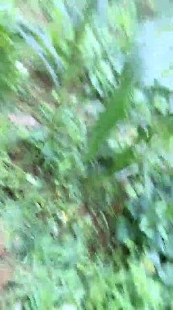 预览图14