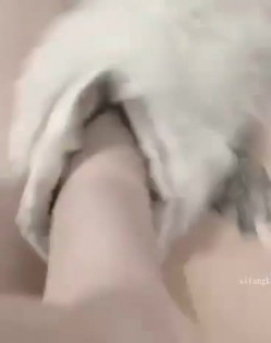 预览图10