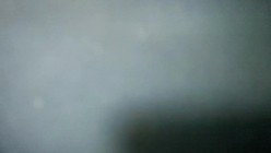 预览图9