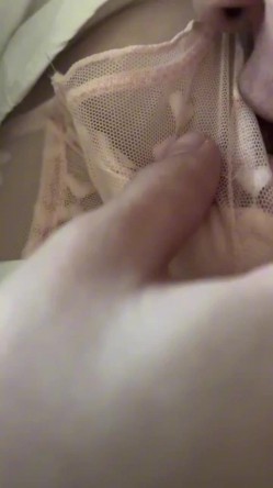 预览图16