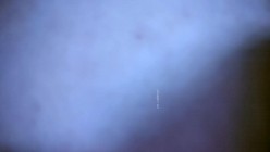 预览图16