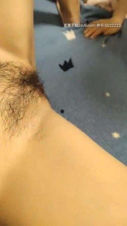 预览图8