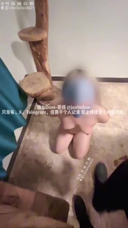预览图2