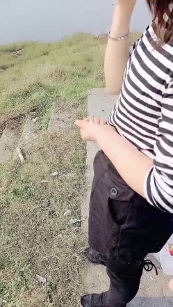 预览图5