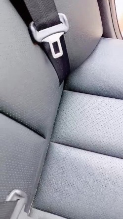 预览图11