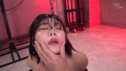 预览图2
