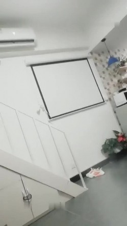 预览图4