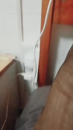 预览图5