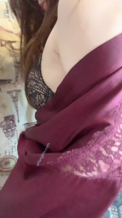 预览图4