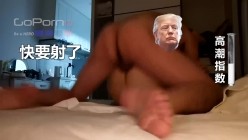 预览图12