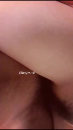 预览图13