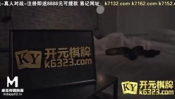 预览图4