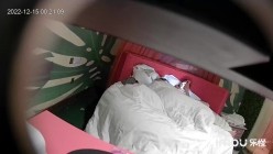 预览图8