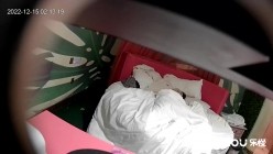 预览图13