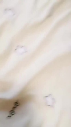 预览图10
