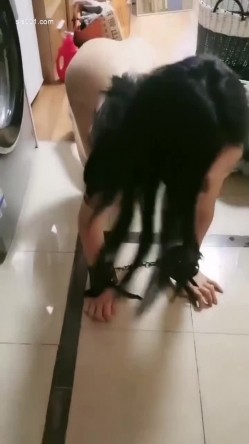 预览图13
