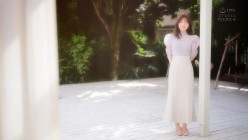 预览图12