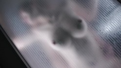 预览图7