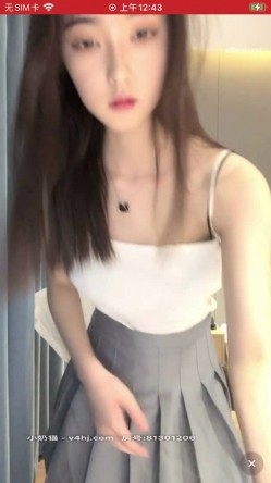 预览图3