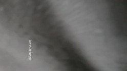 预览图15
