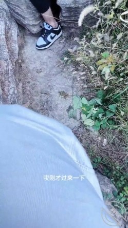 预览图8
