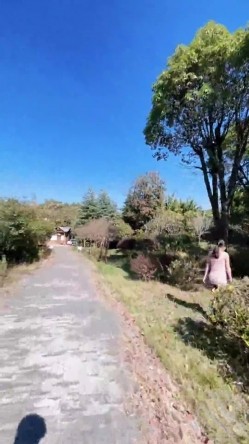 预览图10