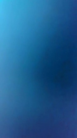 预览图12