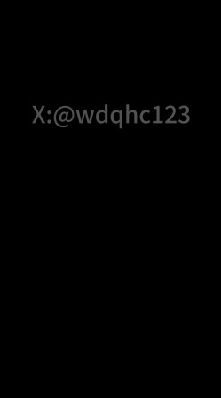 预览图13