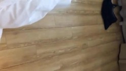 预览图15