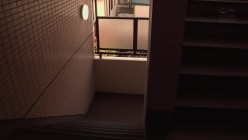预览图13