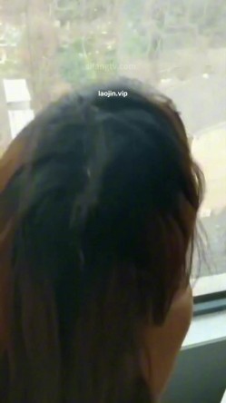 预览图8