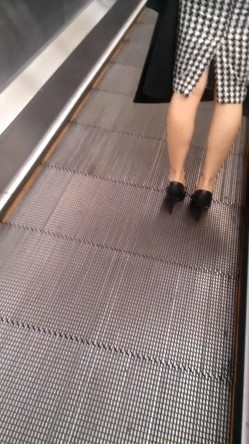 预览图5